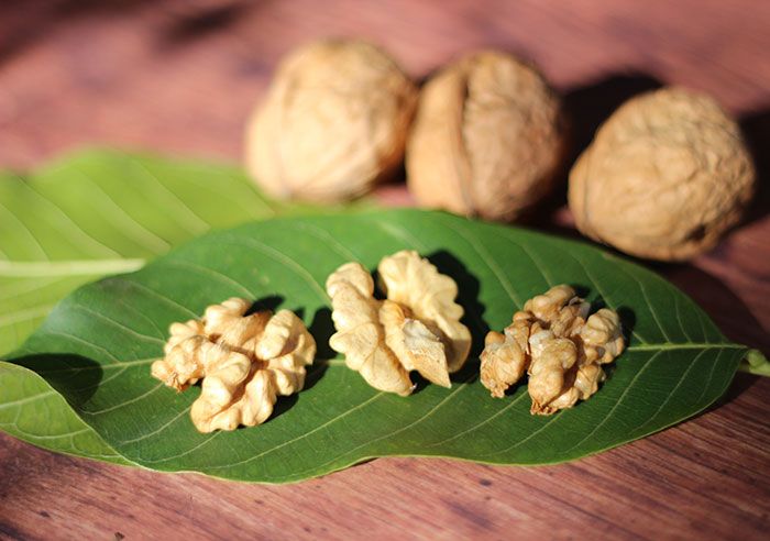 Orzechy włoskie: Kwasy Omega-3 i polifenole jako tarcza przed stresem oksydacyjnym